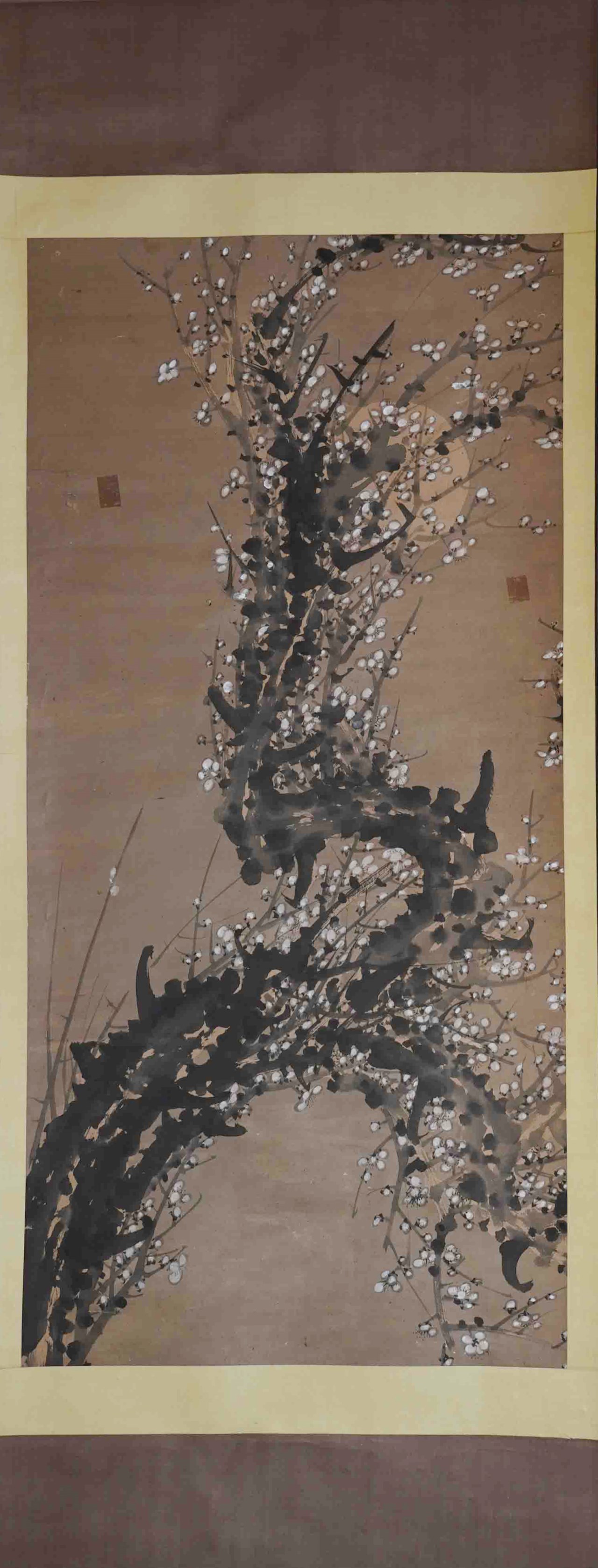 月后白梅